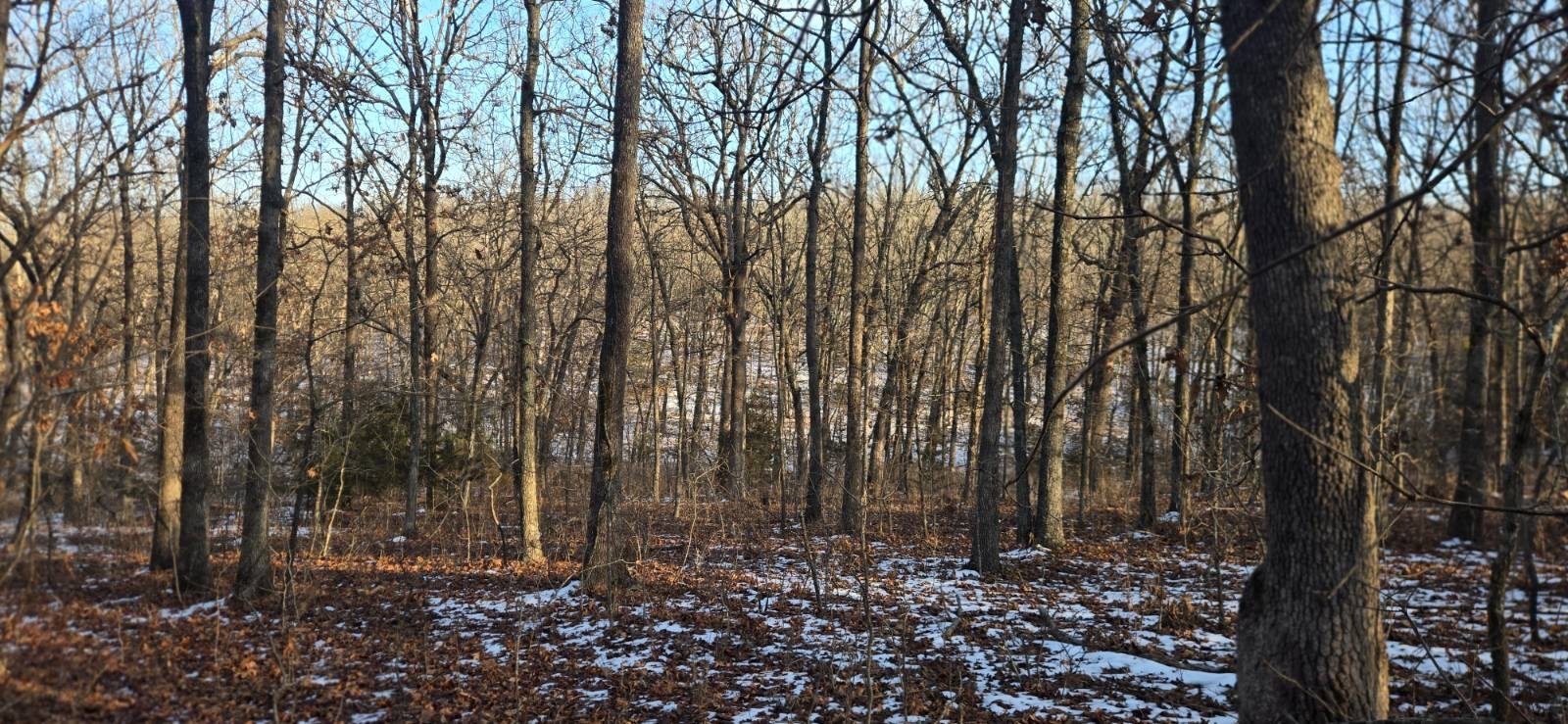 Polk County Recreational Land Opportunity