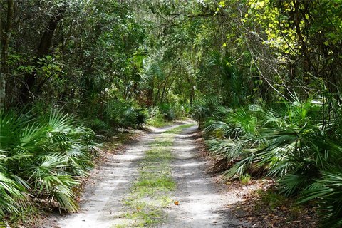 Deltona Land with Pond