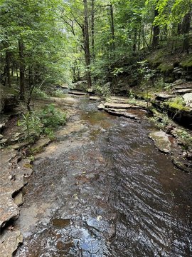 Recreational & Timber Property