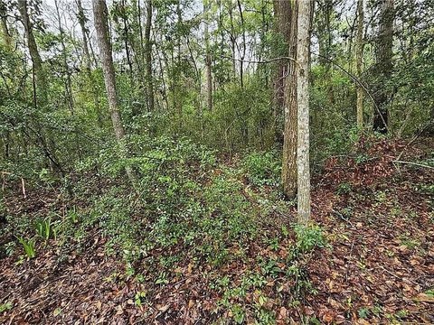 Marsh Front Lot in Waverly