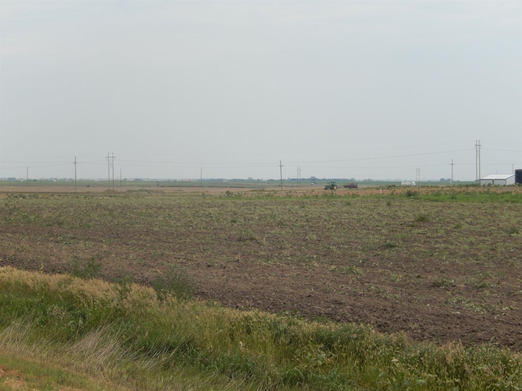 Picture 5