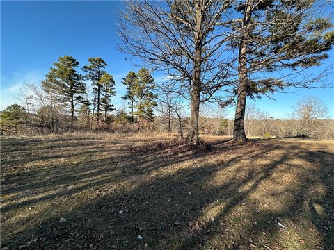 LAND - Hindsville, AR