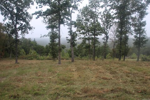 Vacant Land, Valley Springs, AR