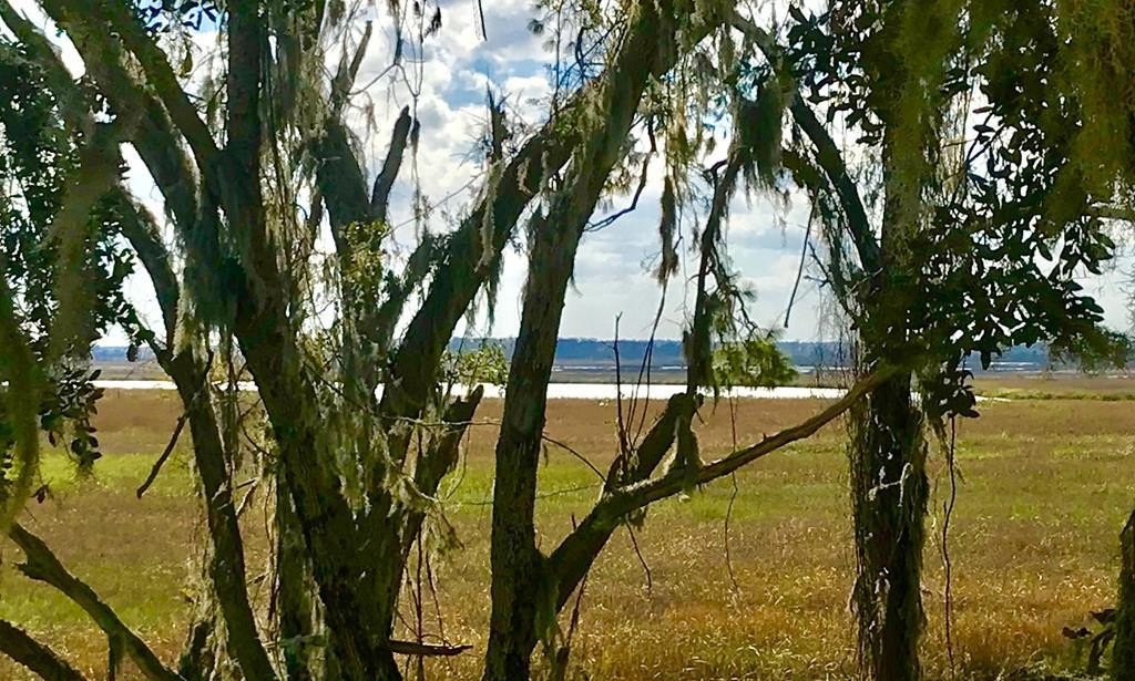 Darien, GA Marshfront Lot