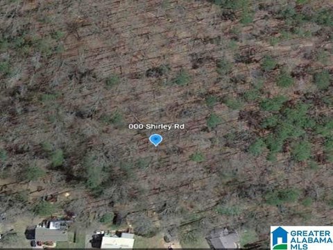 Eleven Acres for Building