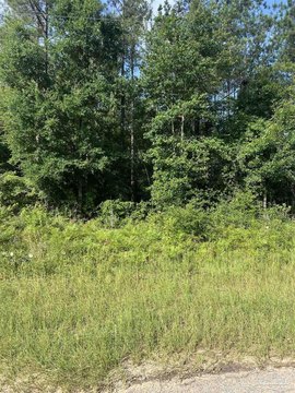 Wooded Acre Lot in Jay