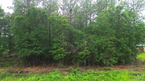 LAND - Jay, FL