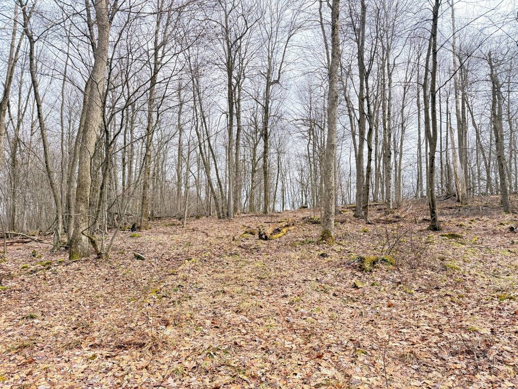 Picture 24