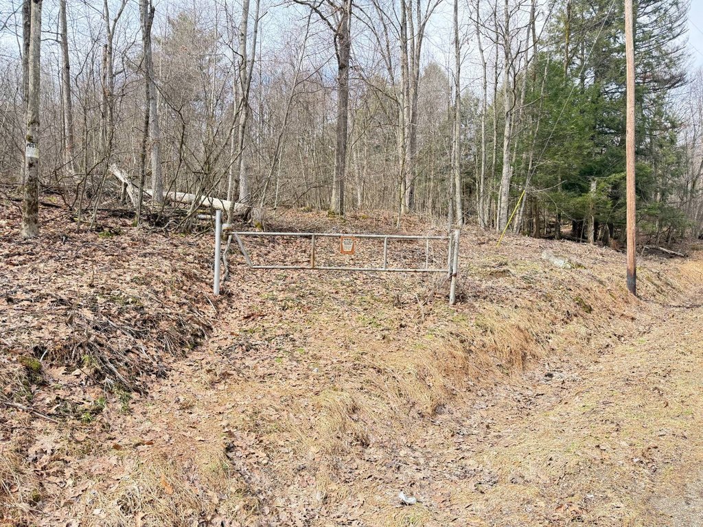Picture 31