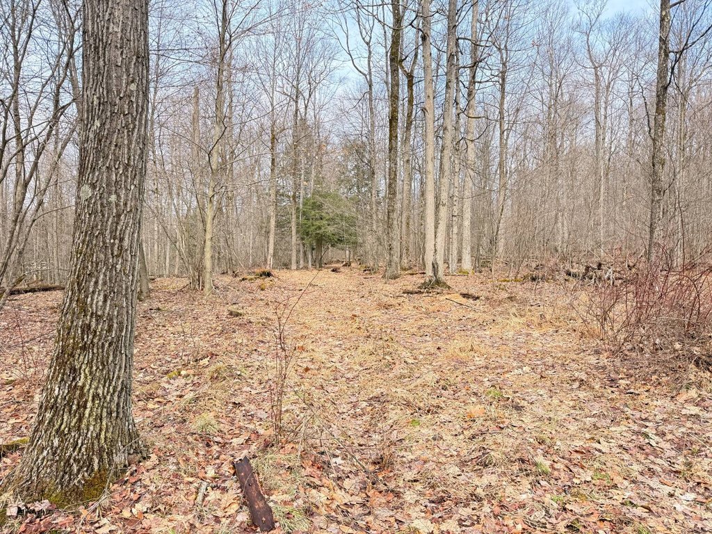 Picture 17