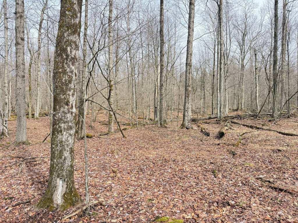 Picture 12