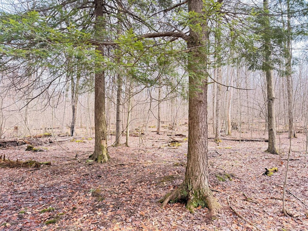 Picture 25