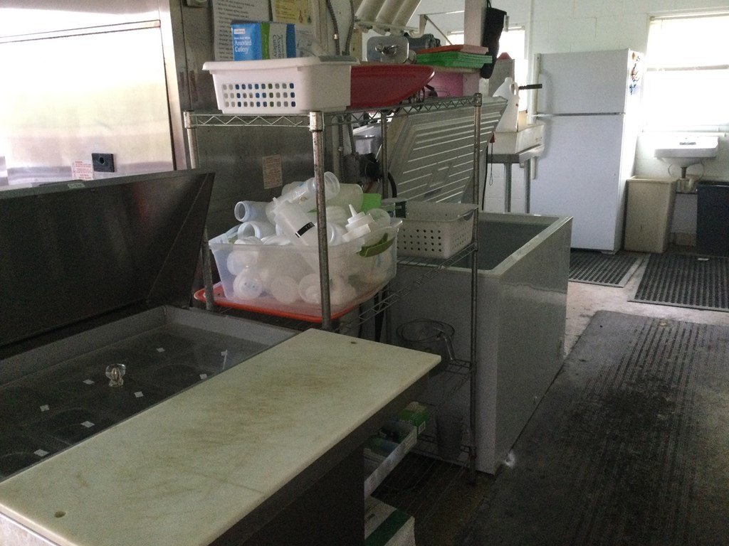 Picture 12