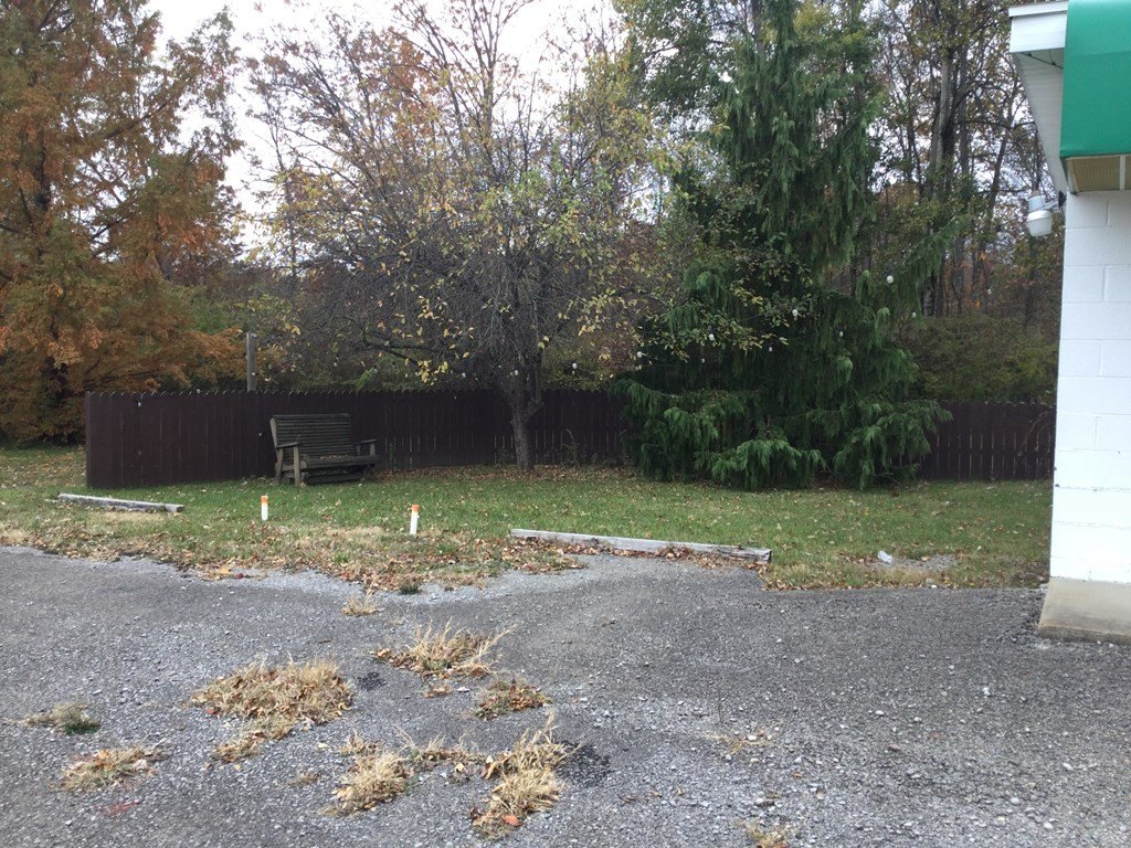 Picture 4