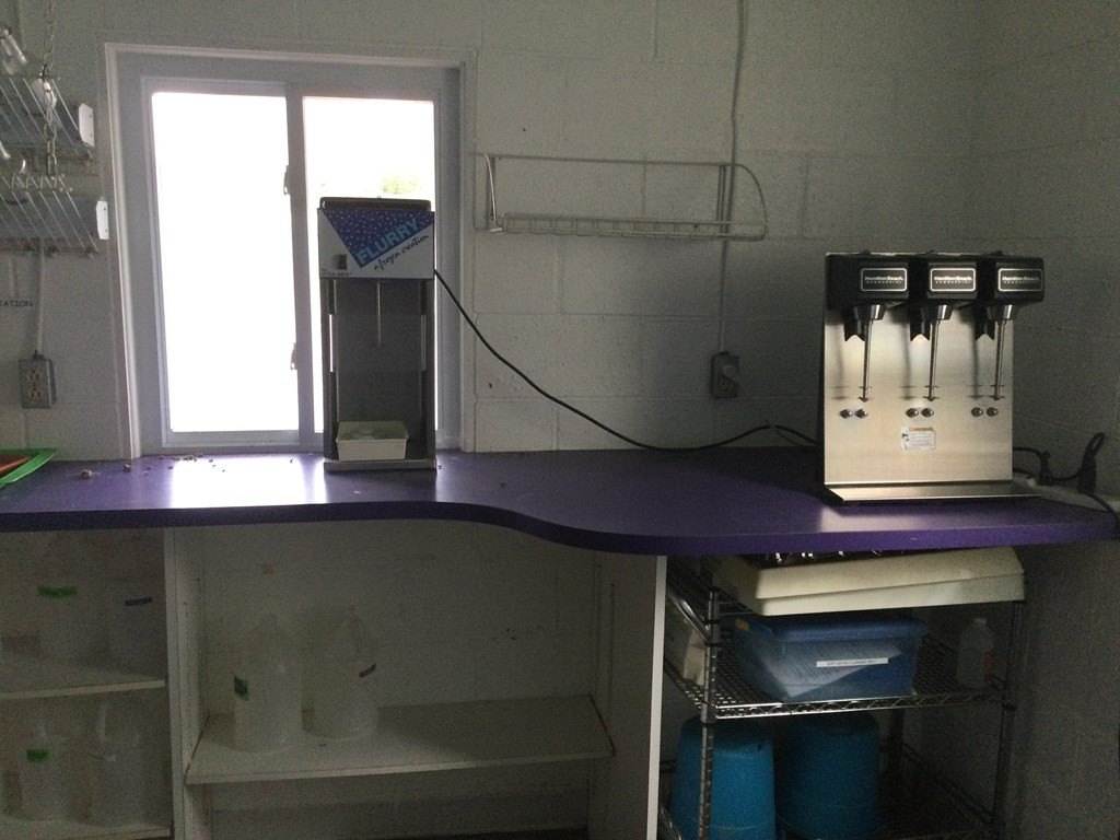 Picture 16