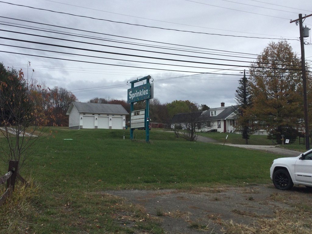 Picture 7