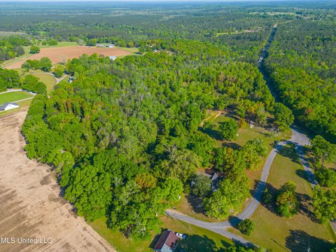 Lucedale Land with Wooded Acreage