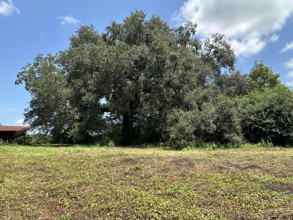 Picture 20