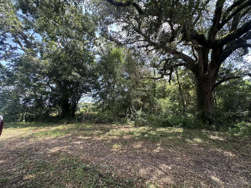 Picture 25