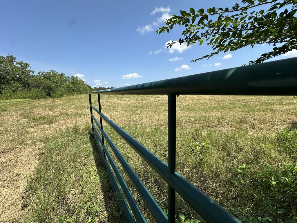Picture 28