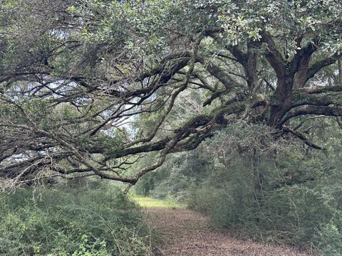 Agricultural Land Tract