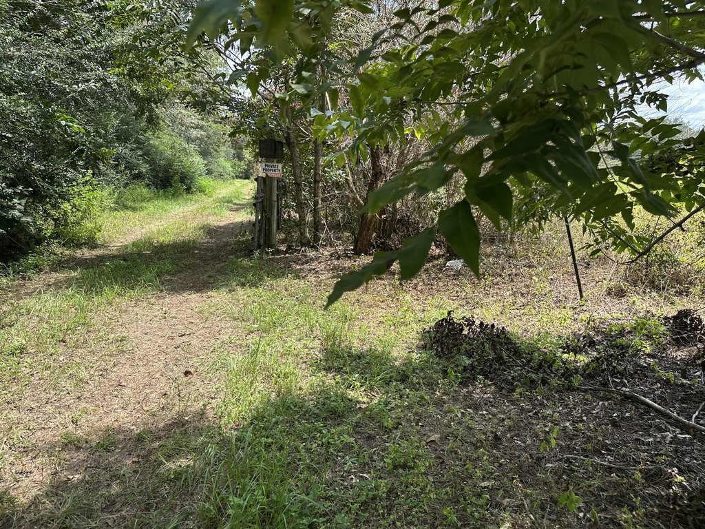 Picture 13