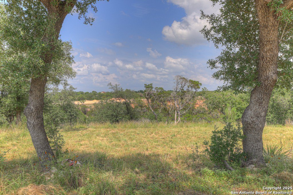 Picture 22