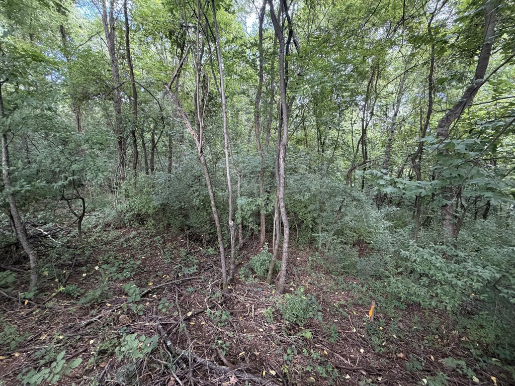 Picture 3