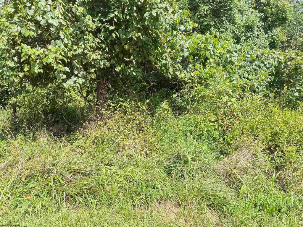 Picture 4