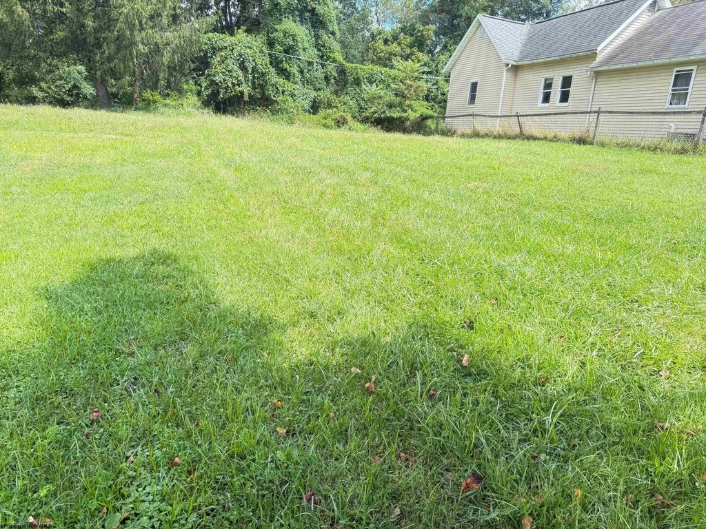 Picture 11