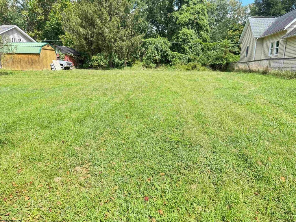 Picture 3