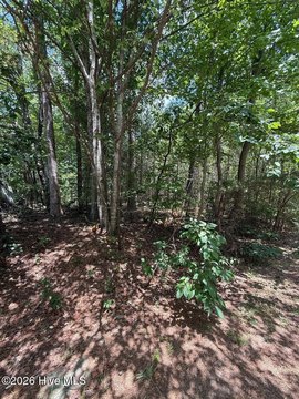LAND - Durham, NC