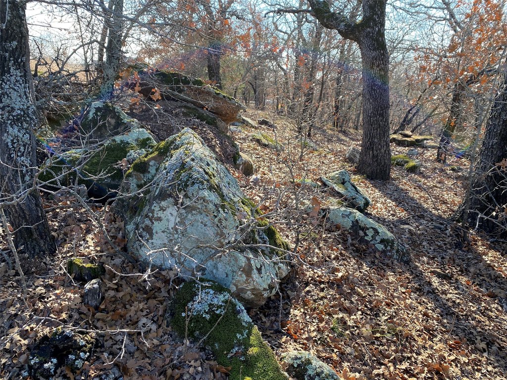 Picture 14