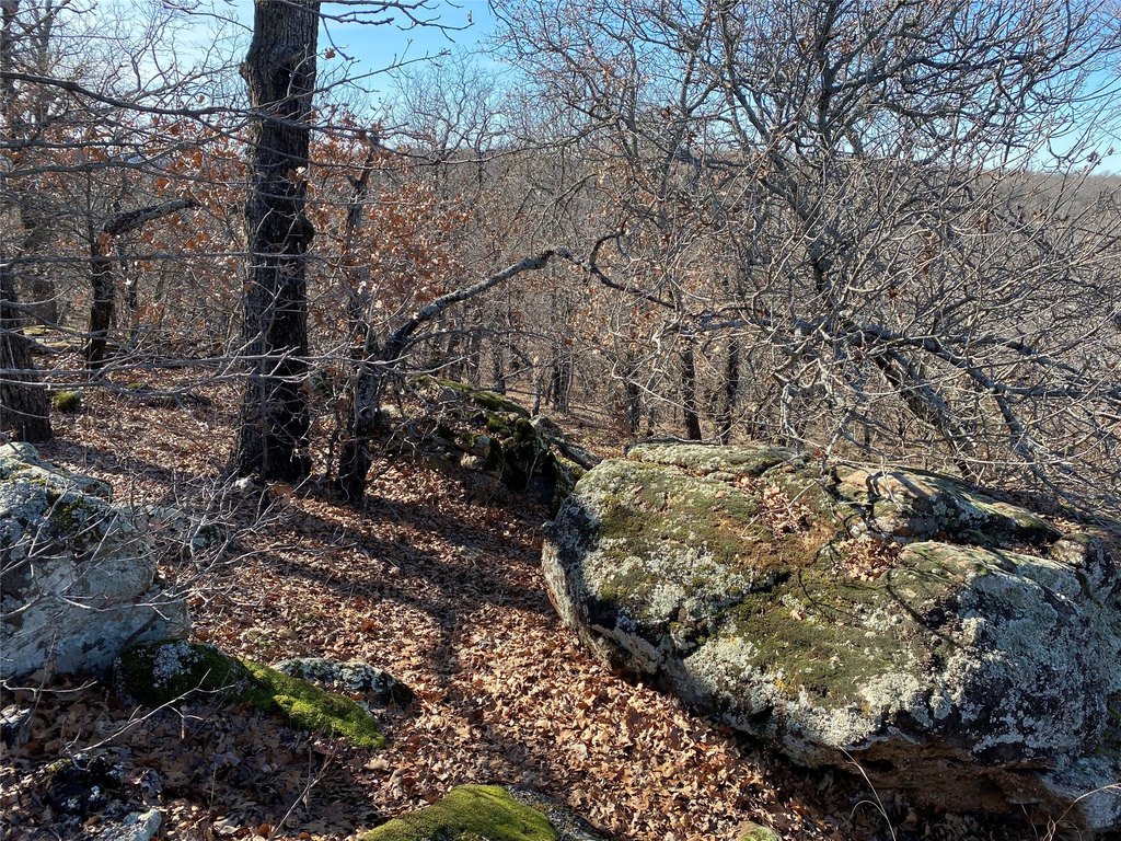 Picture 15