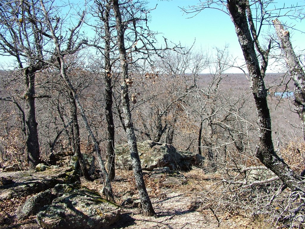 Picture 5