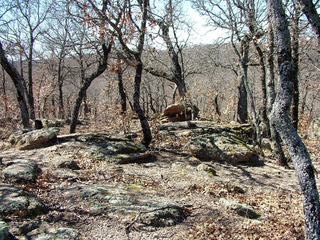 Picture 4