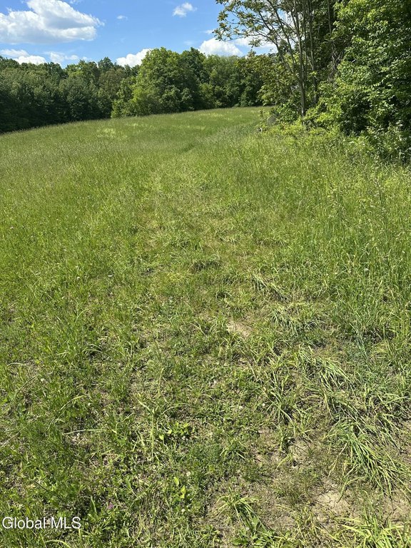 Picture 9