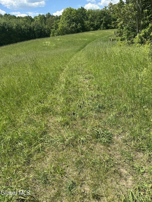 Picture 4