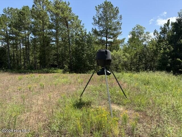 Picture 48