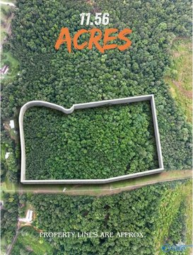 Land, Glencoe, AL