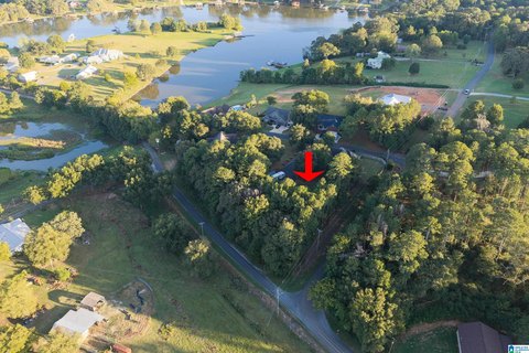 LAND/LOTS, LINCOLN, AL
