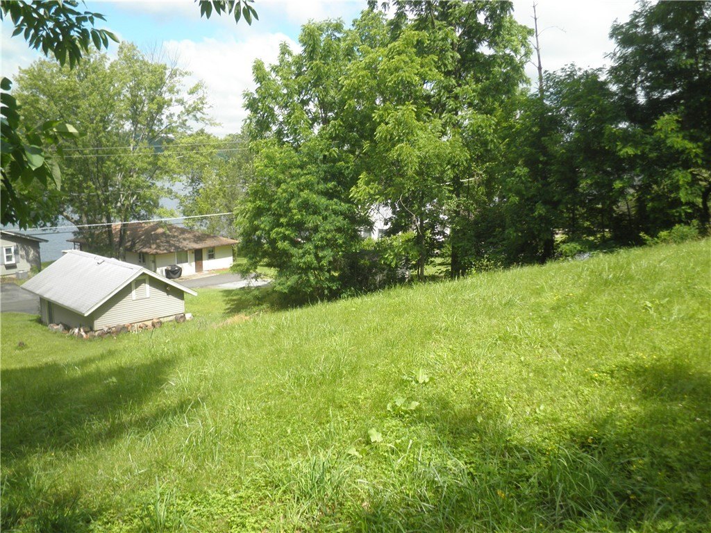 Picture 9