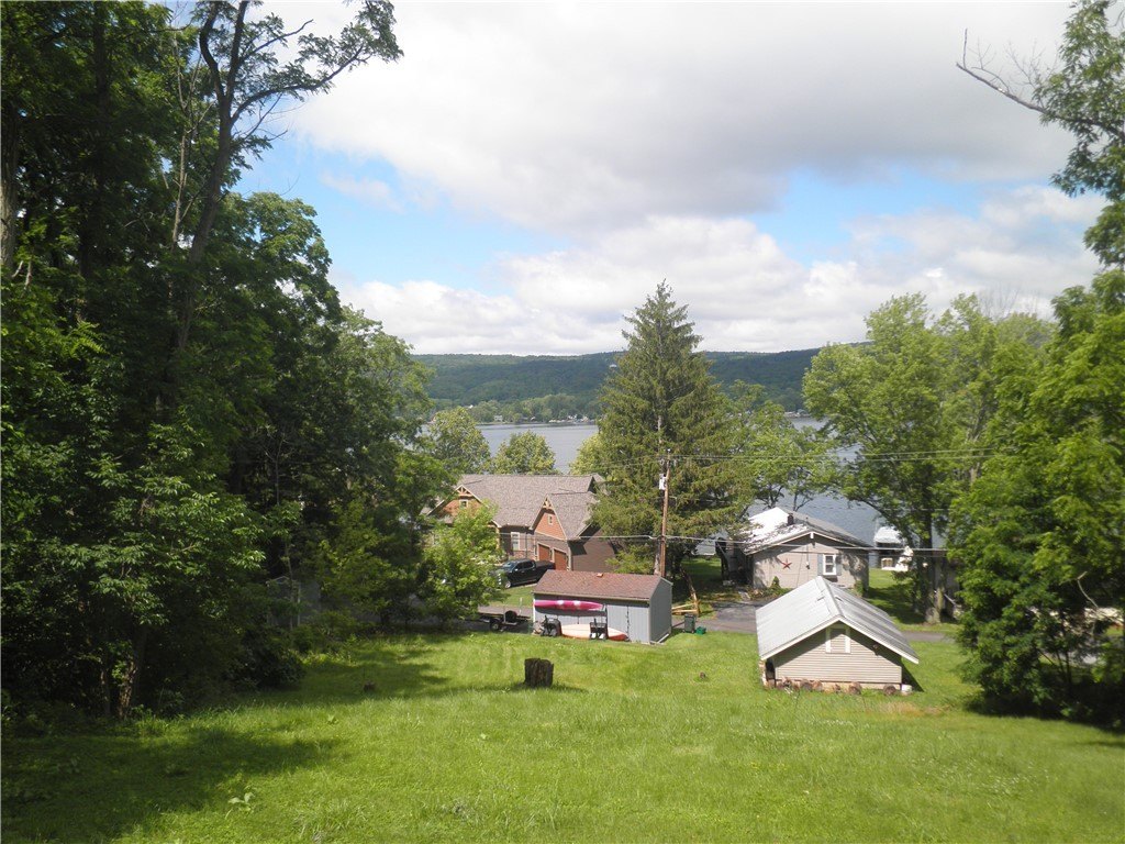 Picture 5