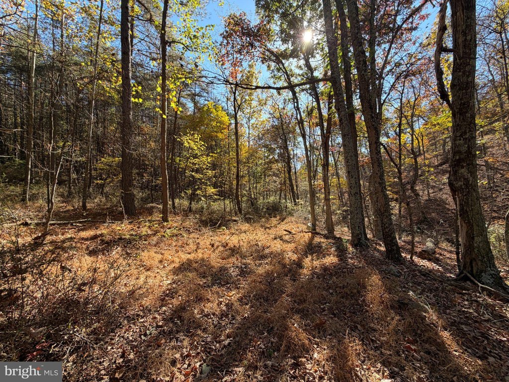 Picture 27