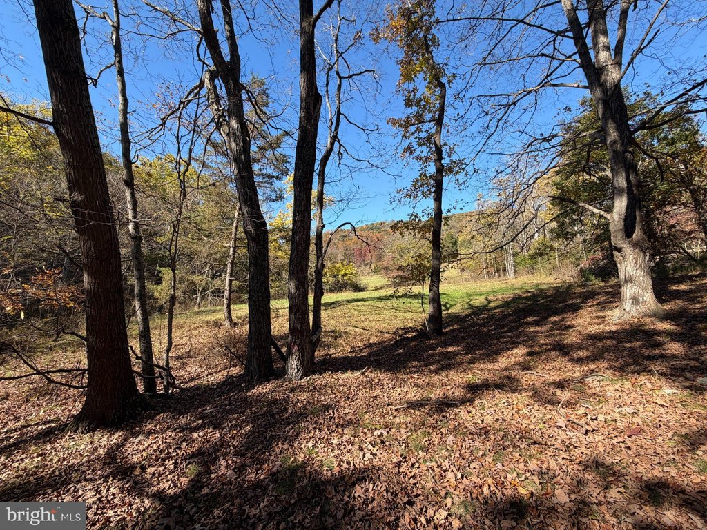 Picture 34