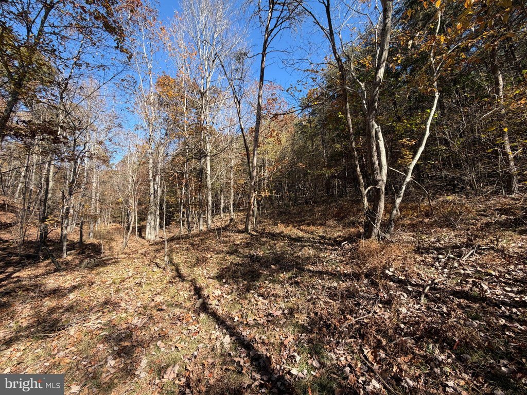 Picture 19