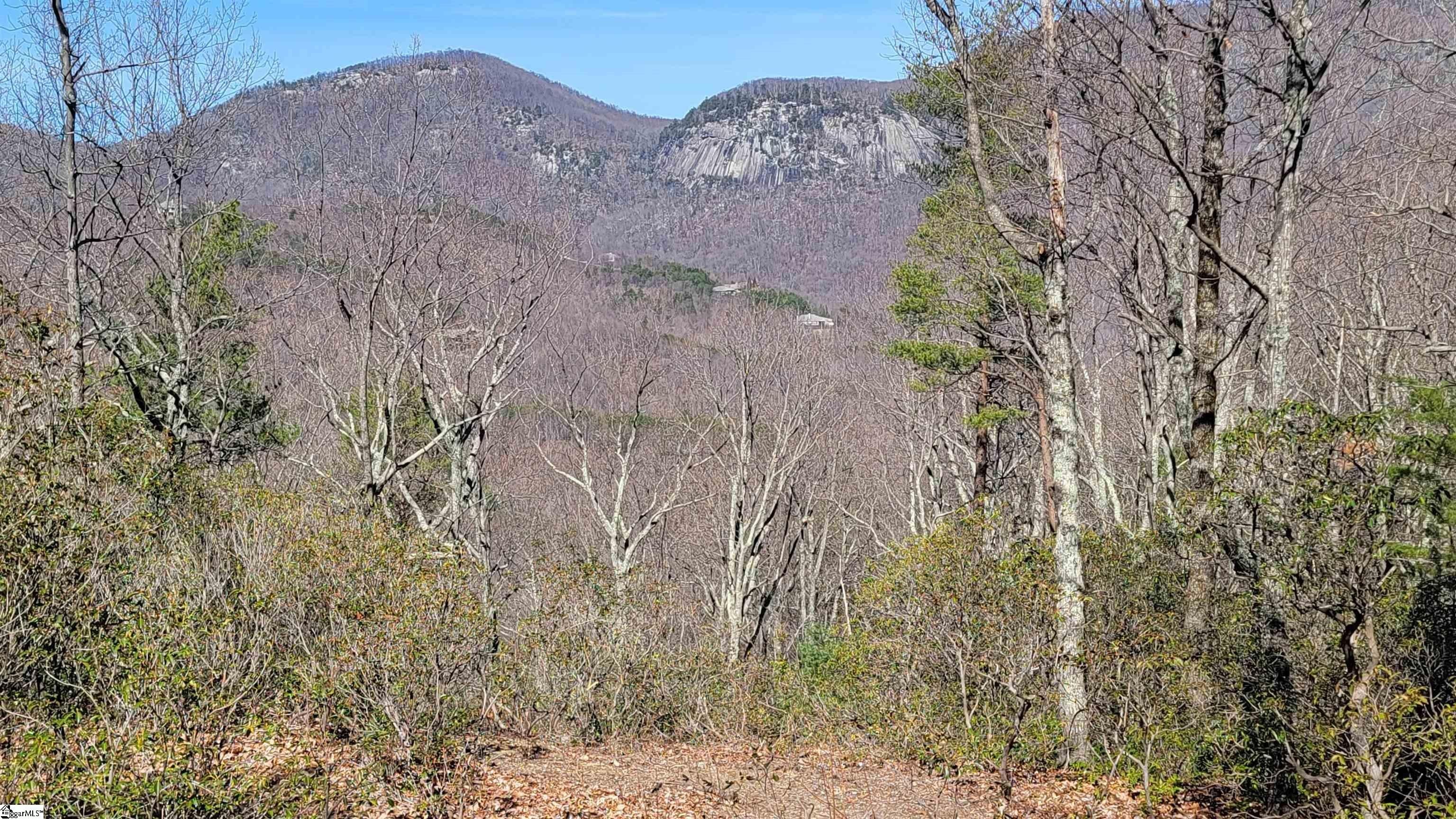 Landrum SC Homesite with Views