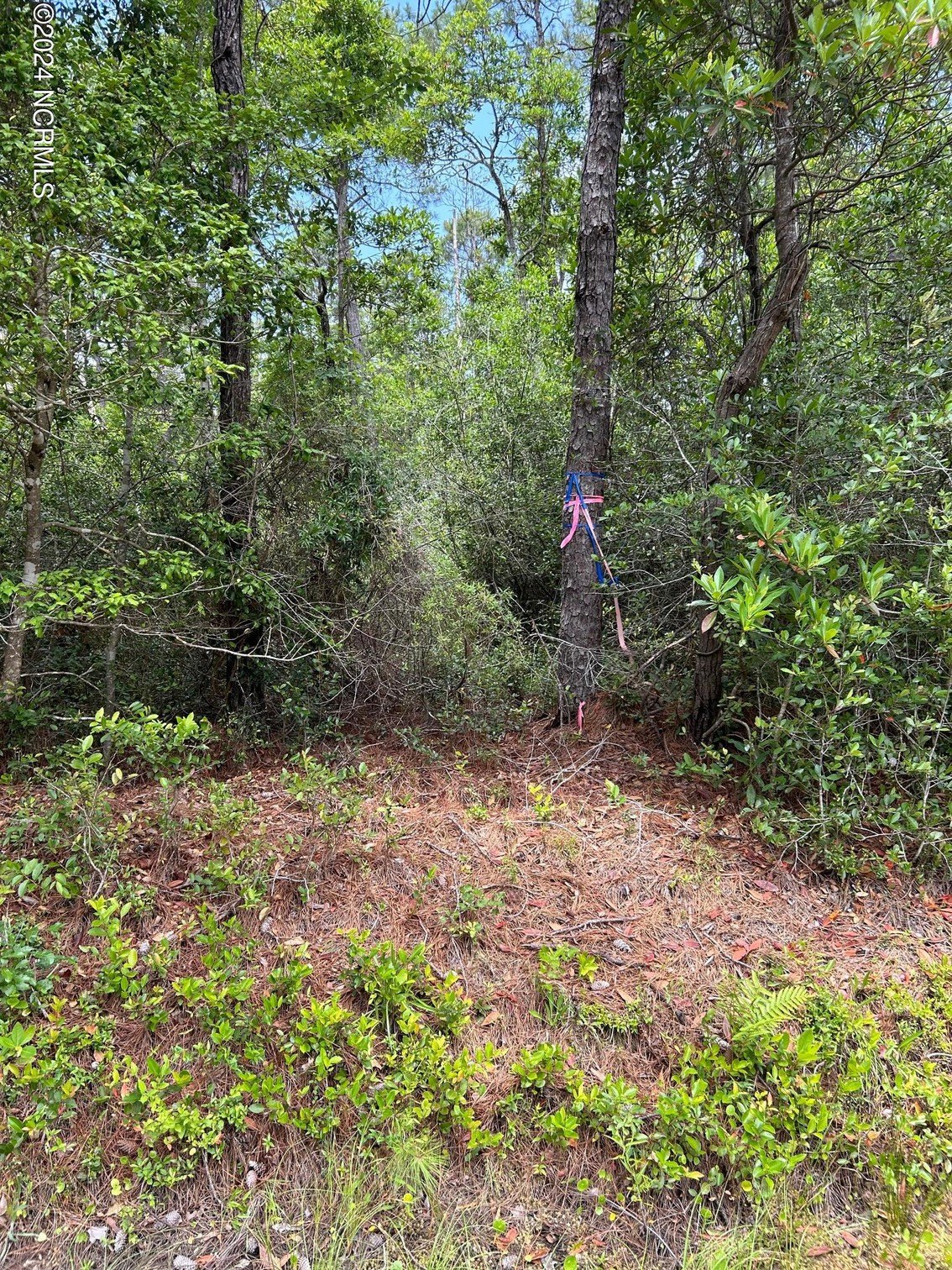 Southport, NC Land Homesites
