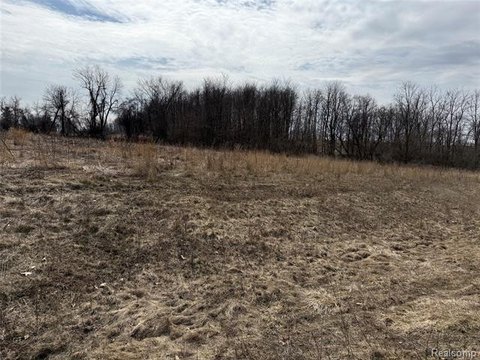 Buildable Lot in Dryden Farms