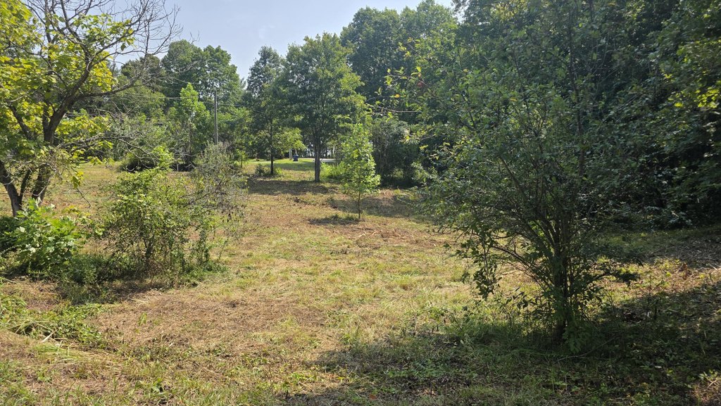 Picture 16